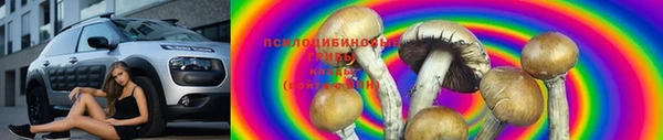 каннабис Покачи