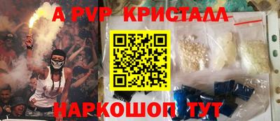 индика Можга