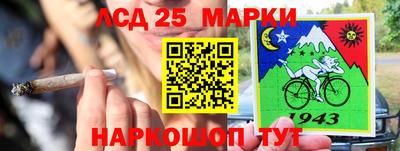 индика Можга