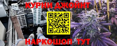 индика Можга