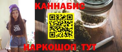 индика Можга