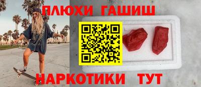 индика Можга