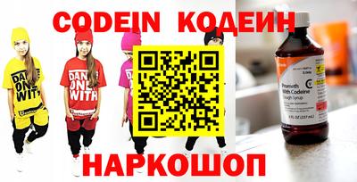 индика Можга