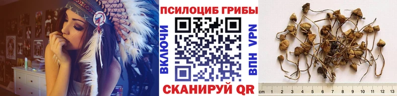 Псилоцибиновые грибы мухоморы  блэк спрут   нарко площадка телеграм  Сальск 
