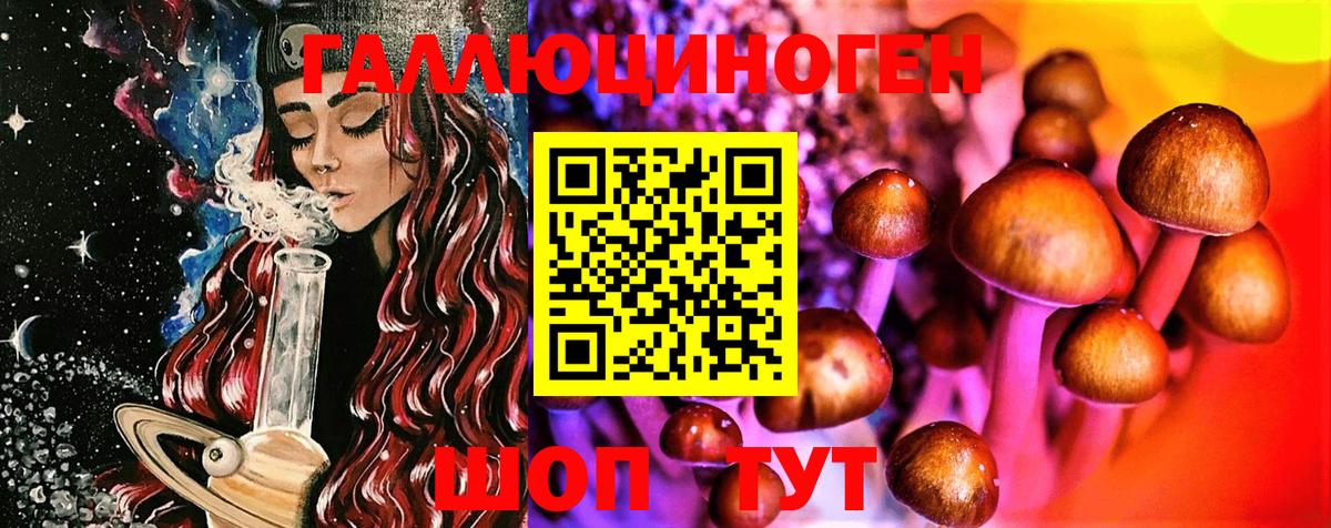 Сальск  Галлюциногенные грибы GOLDEN TEACHER  Галлюциногенные грибы MAGIC MUSHROOMS  Вход с VPN 
