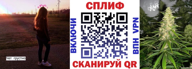 Бошки марихуана индика  наркошоп  Сальск 