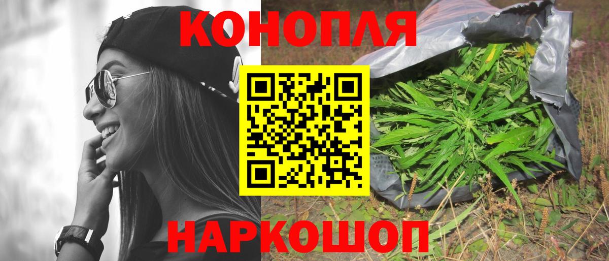 Конопля планчик  Каннабис OG Kush  Сальск  МАРИХУАНА конопля  Вход с VPN 